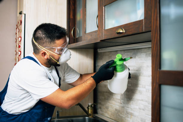 Best Affordable Pest Control Services  in Cedar Hills, OR