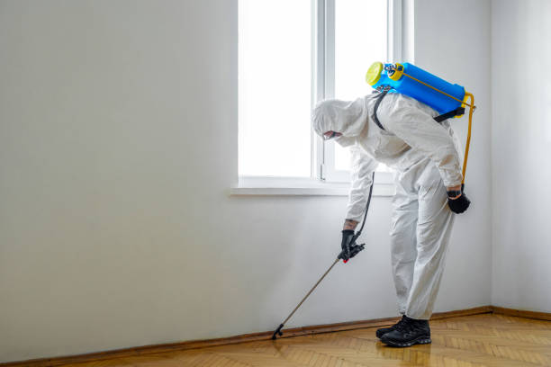 Best Residential Pest Control  in Cedar Hills, OR