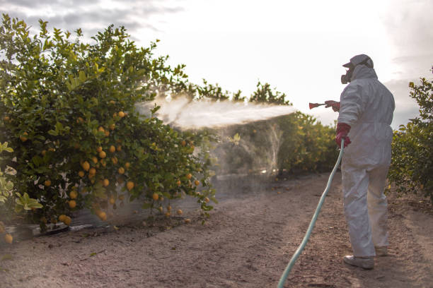Best Mosquito Control Services  in Cedar Hills, OR