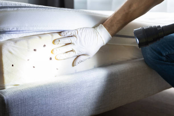 Best Flea Control Services  in Cedar Hills, OR